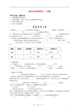 高中生物 遗传信息的携带者-核酸学案 新人教版必修1
