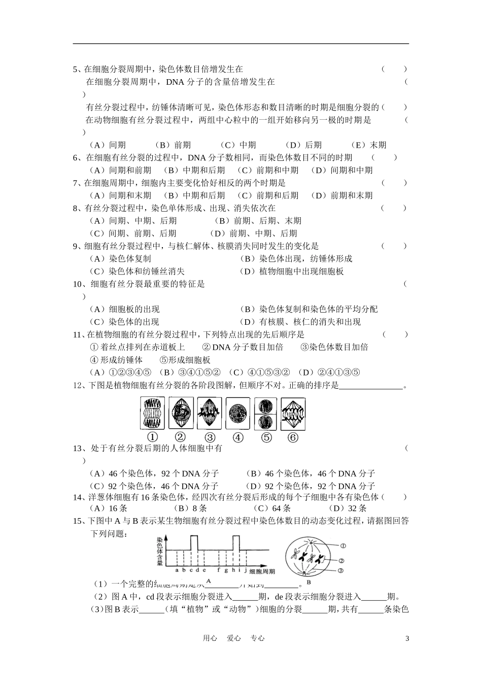 高中生物《细胞的增殖》学案3 新人教版必修1_第3页