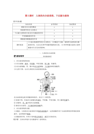 高中生物 第二章 动物生命活动的调节 第5课时 人体的内分泌系统、下丘脑与垂体学案 浙科版必修3-浙科版高一必修3生物学案