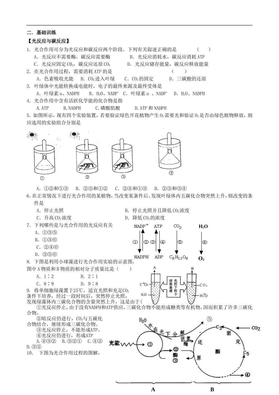 高中生物 第三章第五节 光合作用学案 浙教版必修1_第2页