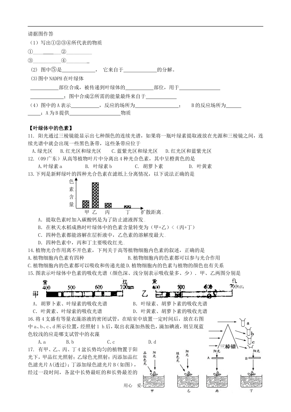 高中生物 第三章第五节 光合作用学案 浙教版必修1_第3页