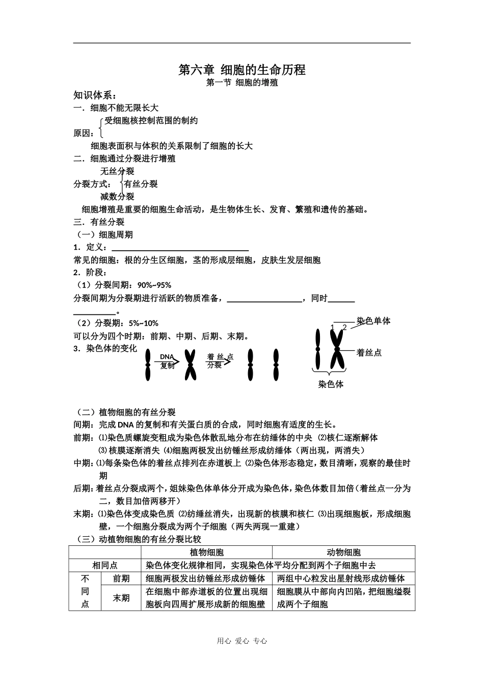 高中生物有丝分裂学案_第1页