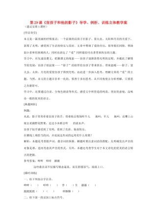 盲孩子和他的影子教案3 学案