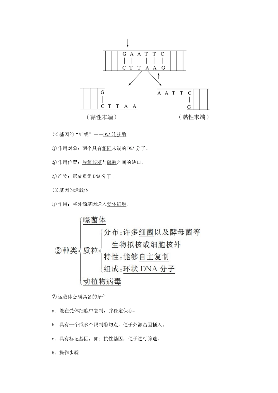 高中生物 第六章 从杂交育种到基因工程 2 基因工程及其应用学案 新人教版必修2-新人教版高一必修2生物学案_第2页