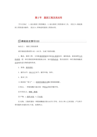 高中生物 第六章 从杂交育种到基因工程 2 基因工程及其应用学案 新人教版必修2-新人教版高一必修2生物学案