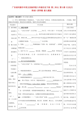 广东省河源市中英文实验学校八年级历史下册 第二单元 第3课《文化大革命》讲学稿 新人教版
