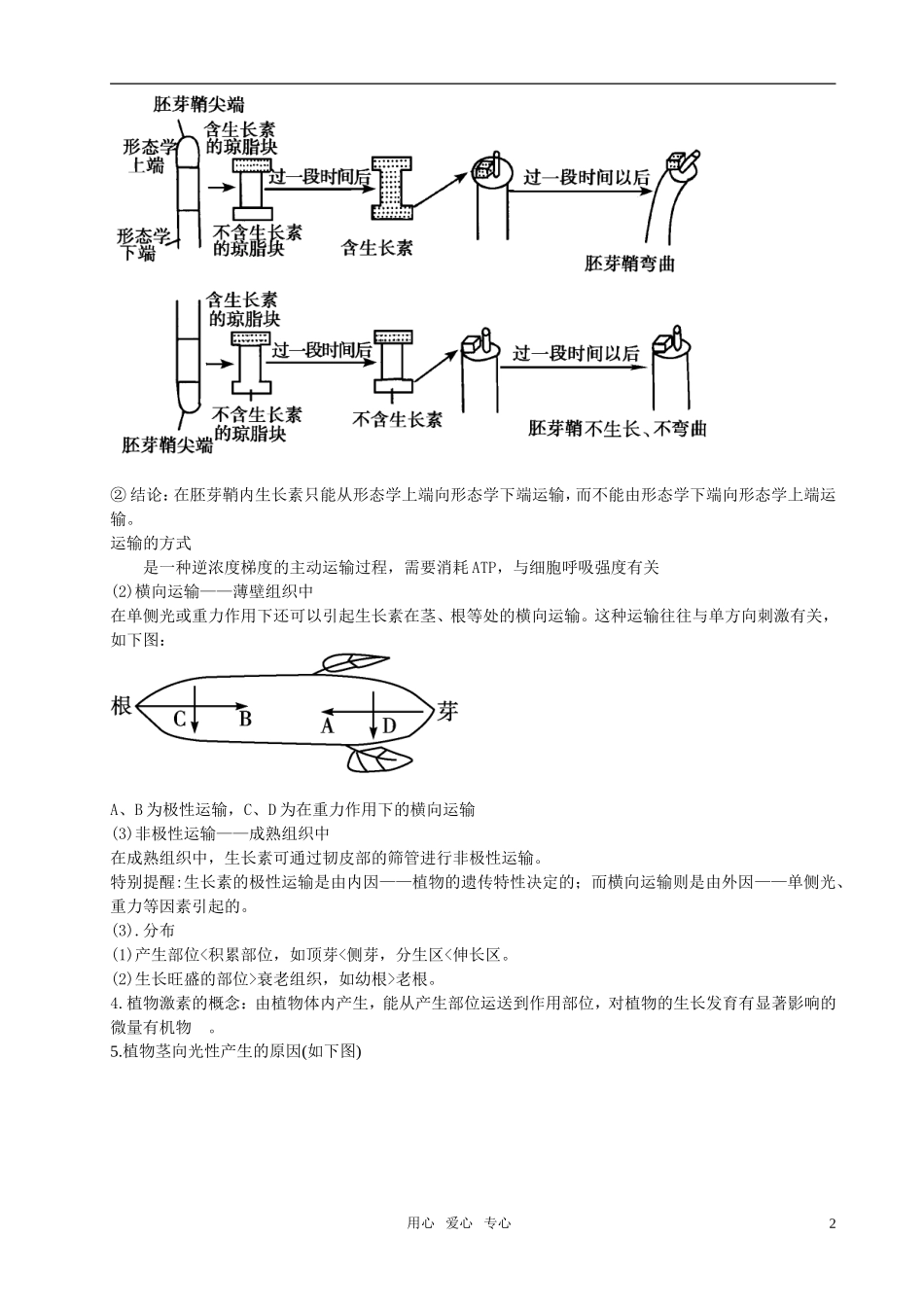 高中生物 第三章植物的激素调节复习学案 新人教版必修3_第2页