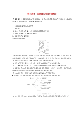 高中生物 第三章 细胞的基本结构 第2节 第2课时 细胞器之间的协调配合学案 新人教版必修1-新人教版高一必修1生物学案