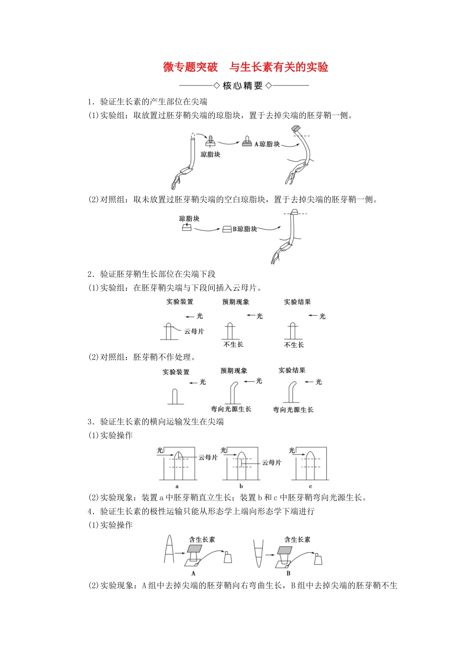 高中生物 第三章 植物的激素调节 微专题突破 与生长素有关的实验学案 新人教版必修3-新人教版高一必修3生物学案_第1页