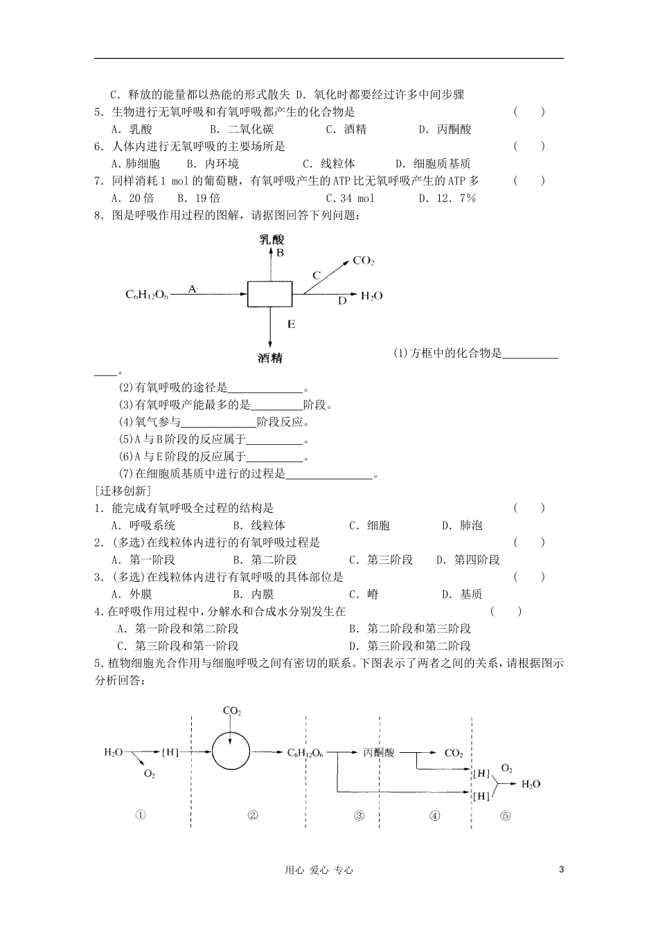 高中生物《细胞呼吸》学案4 苏教版必修1_第3页