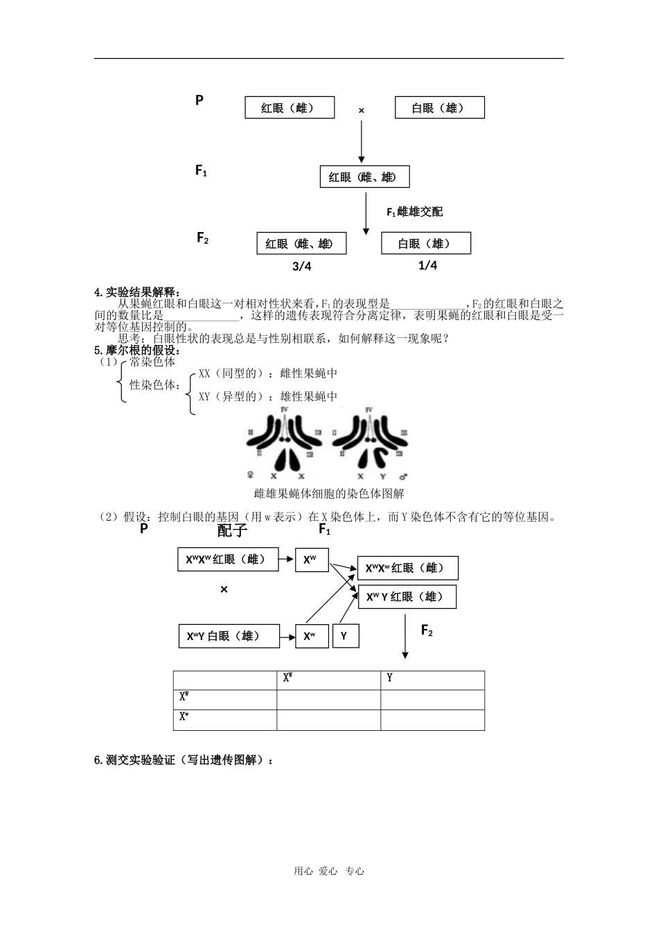 高中生物：2.2《基因在染色体上》学案（新人教版必修2）_第2页