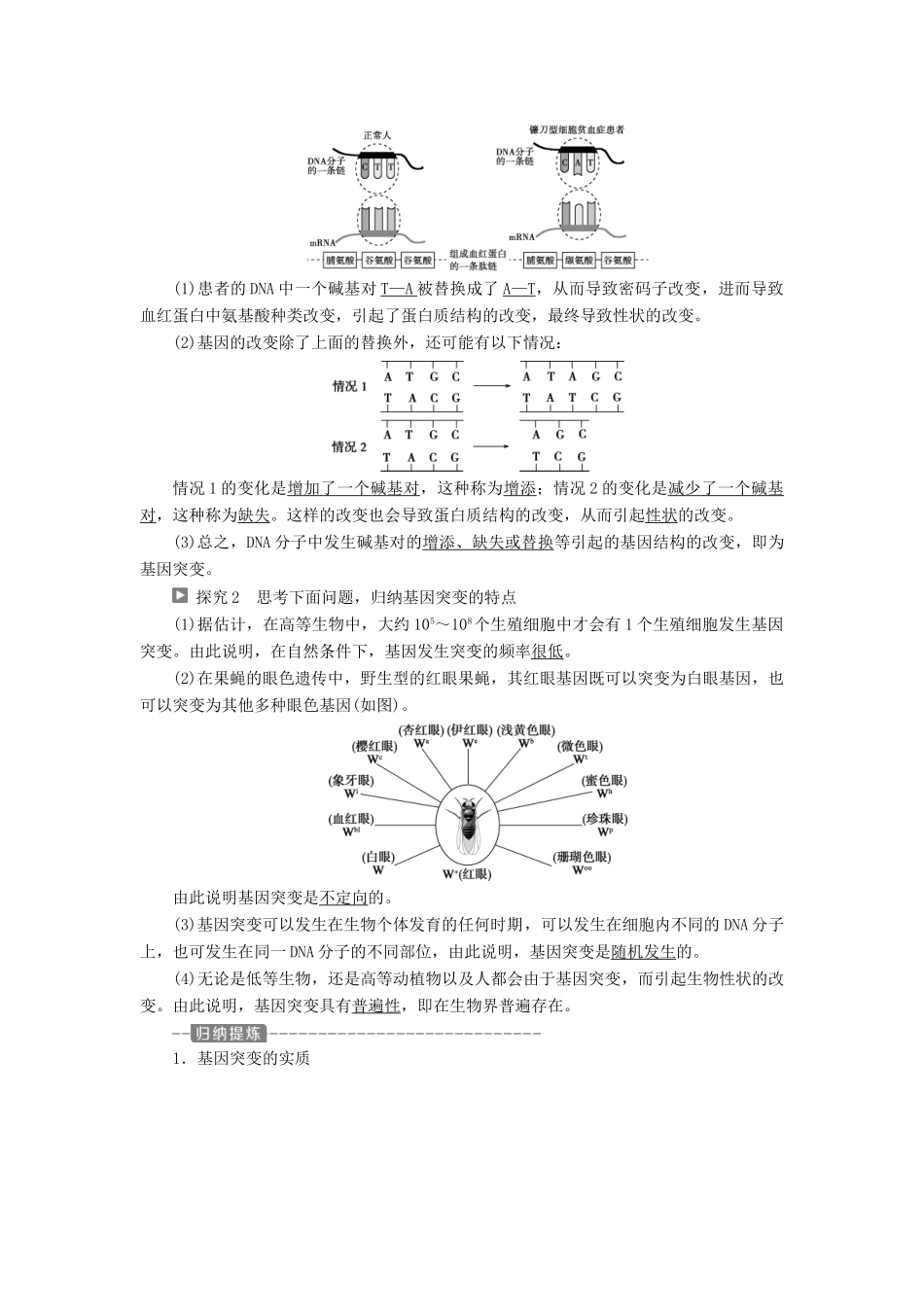 高中生物 第四章 遗传的分子基础 第四节 基因突变和基因重组 第1课时 基因突变与基因重组学案 苏教版必修2-苏教版高一必修2生物学案_第2页