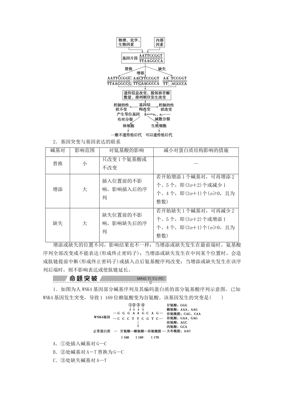 高中生物 第四章 遗传的分子基础 第四节 基因突变和基因重组 第1课时 基因突变与基因重组学案 苏教版必修2-苏教版高一必修2生物学案_第3页