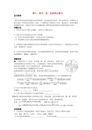 九年级化学 第十一单元  盐  化肥单元复习导学案 新人教版