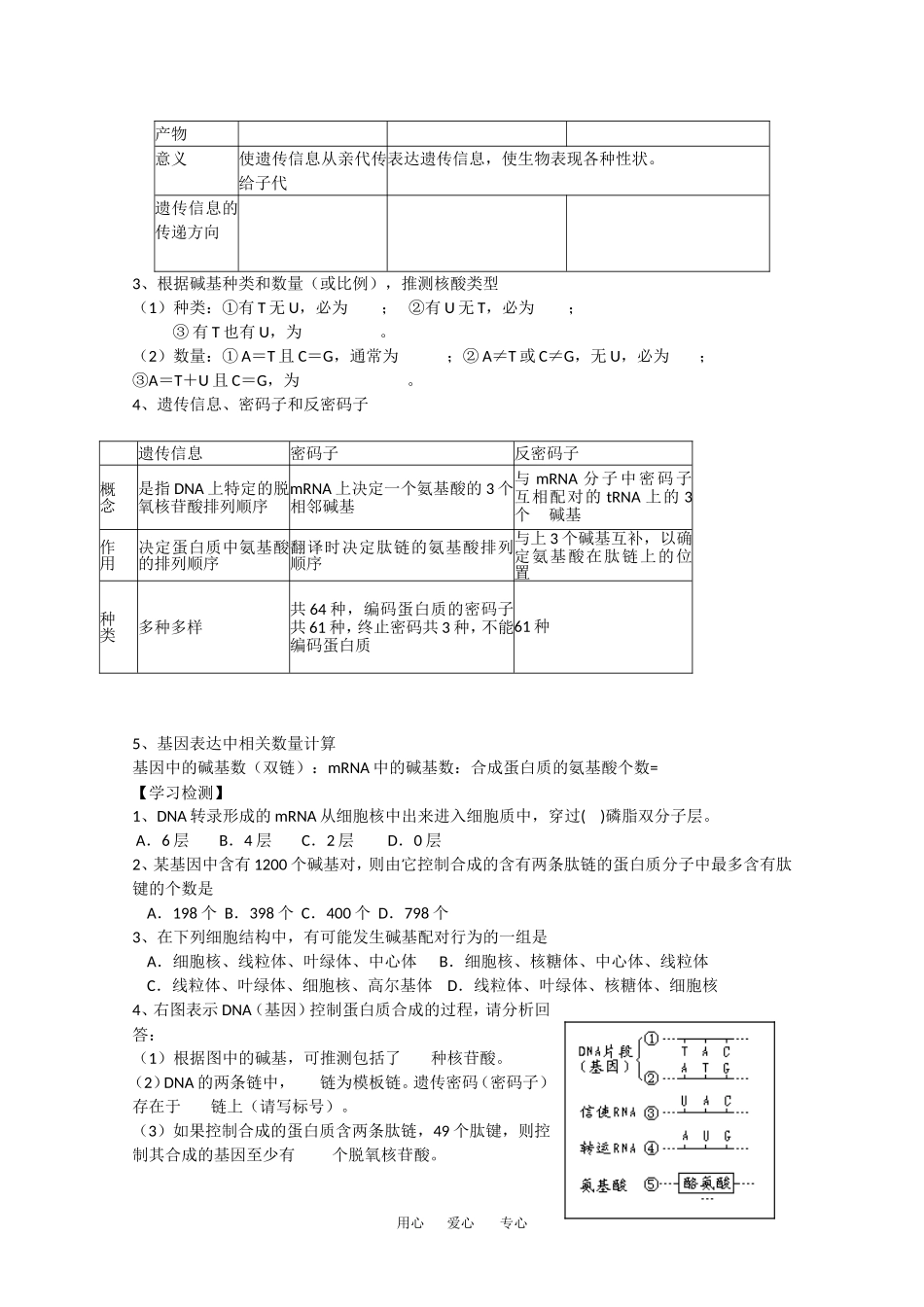 高中生物：4.1《基因指导蛋白质的合成》学案（1）（新人教版必修2）_第3页