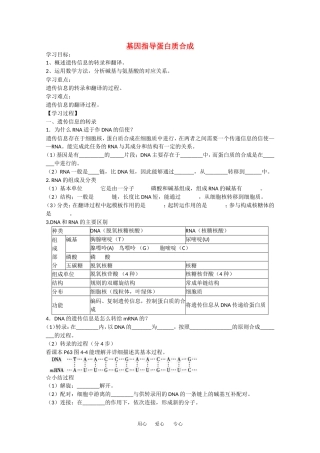 高中生物：4.1《基因指导蛋白质的合成》学案（1）（新人教版必修2）