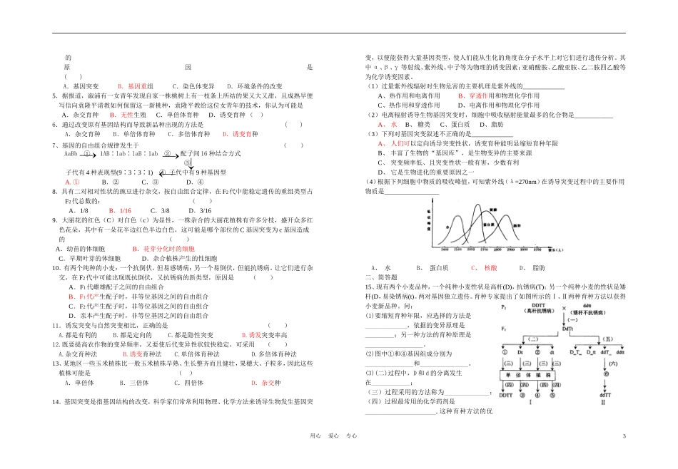 高中生物《杂交育种与诱变育种》学案2 新人教版必修2_第3页