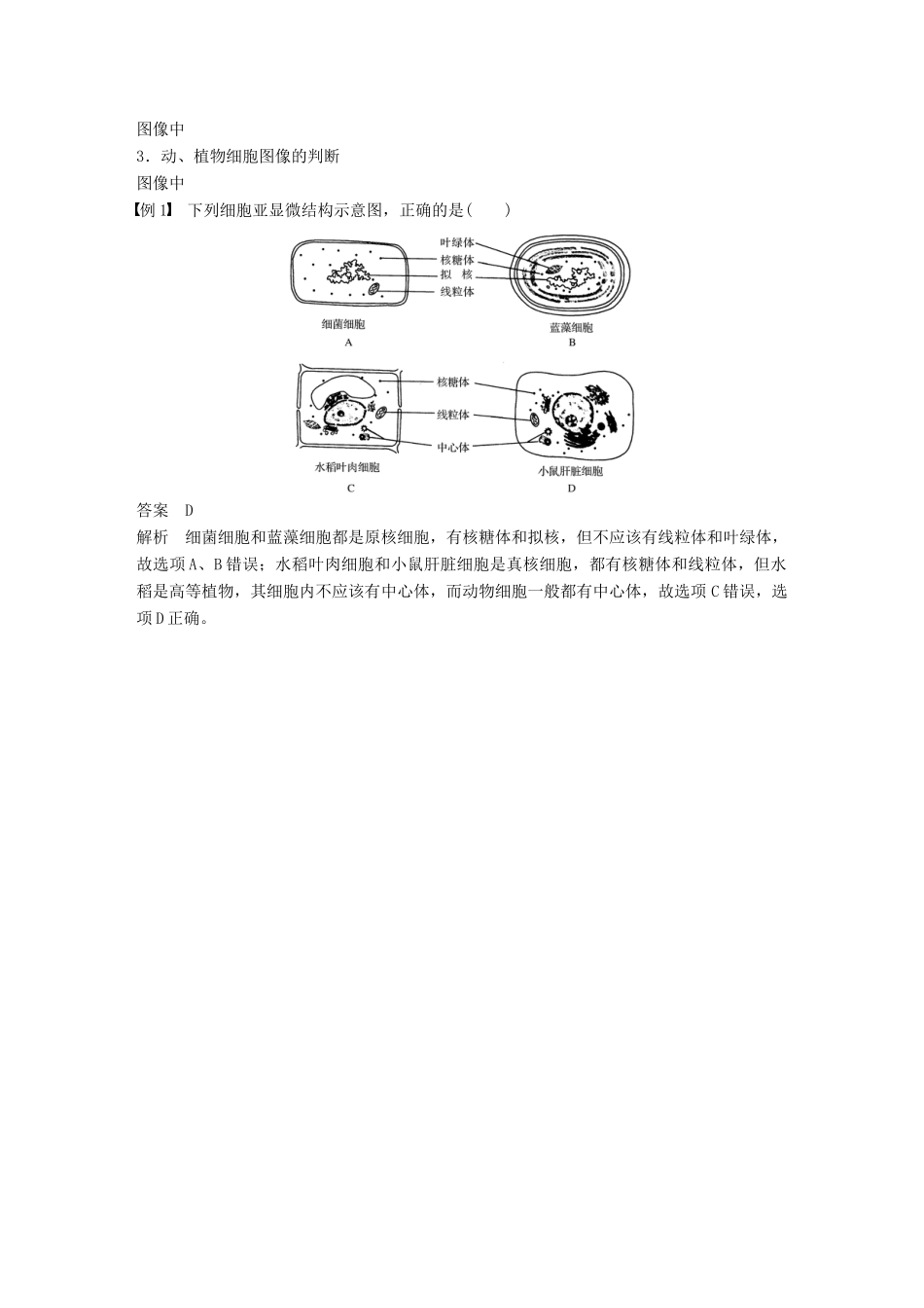 高中生物 第三章 细胞的基本结构章末总结学案 新人教版必修1-新人教版高一必修1生物学案_第2页