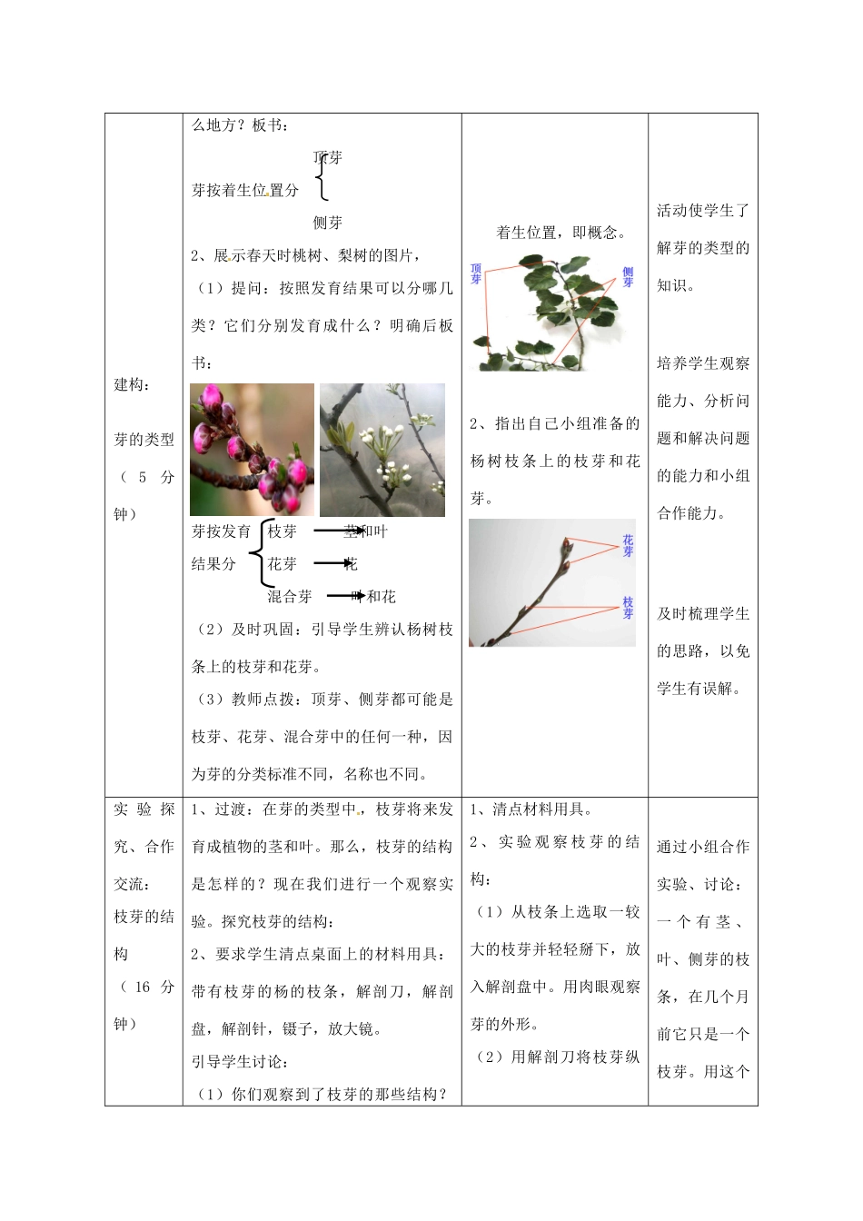 2014年秋八年级生物上册 第4单元 第1章 第6节 芽的类型和发育教案1 （新版）济南版_第3页