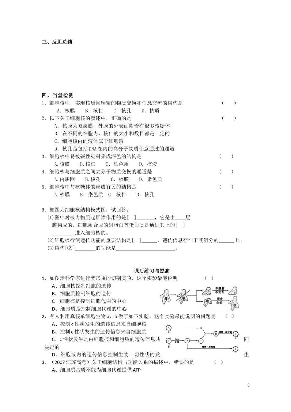 高中生物 第三章第3节《细胞核——系统的控制中心》导学案 新人教版必修1_第3页