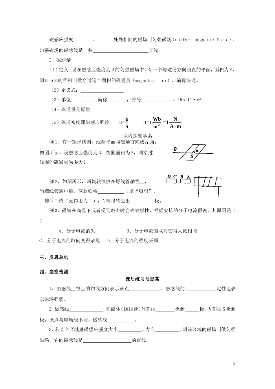 高中物理 3.3几种常见的磁场学案 新人教版选修3-1-新人教版高二选修3-1物理学案_第2页
