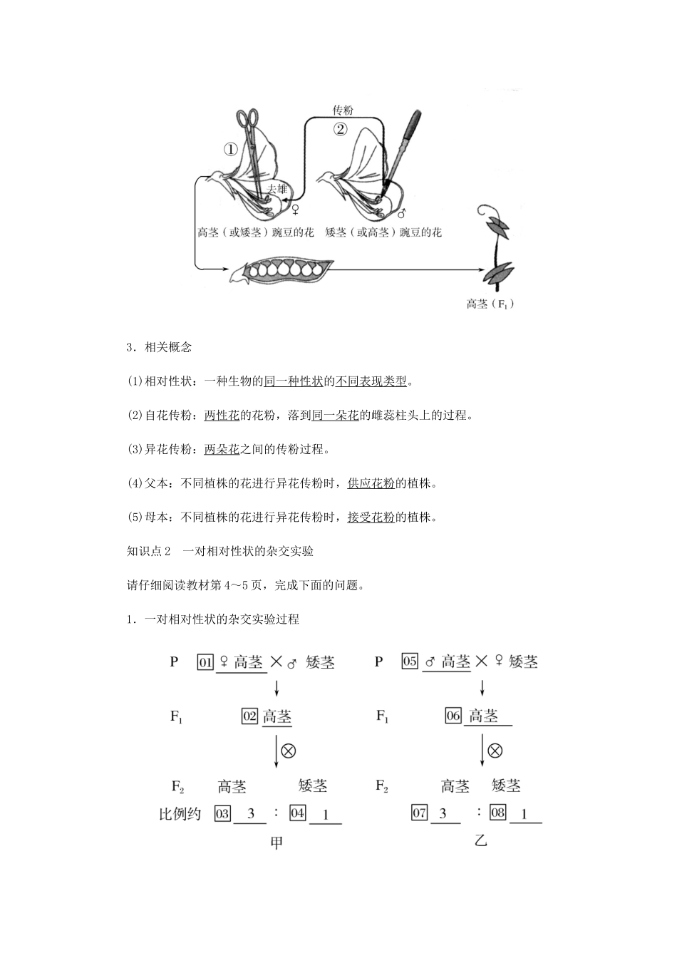 高中生物 第一章 遗传因子的发现 1-1 一对相对性状的遗传实验及分离定律学案 新人教版必修2-新人教版高一必修2生物学案_第2页
