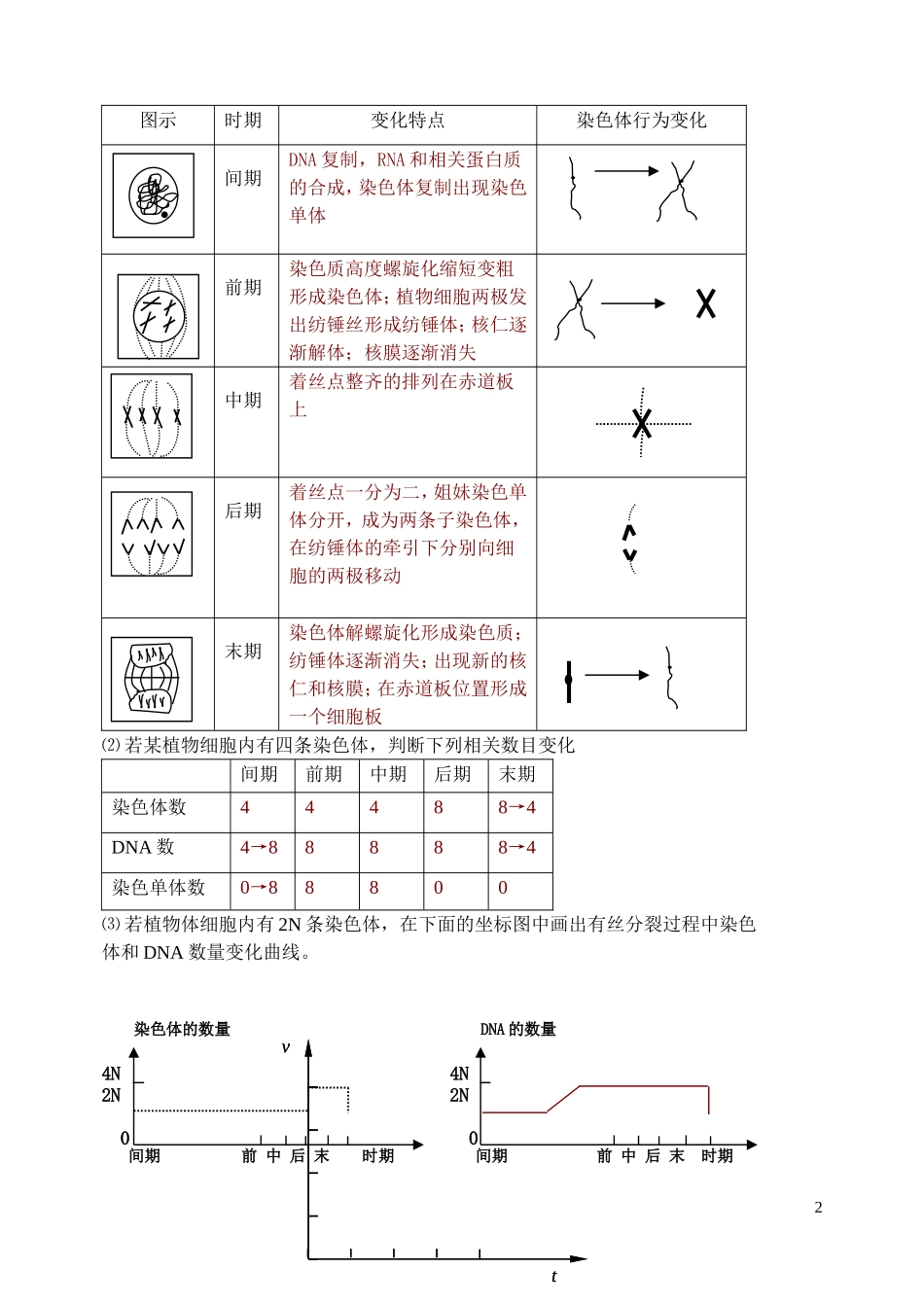 高中生物《细胞的增殖》学案7 新人教版必修1_第2页