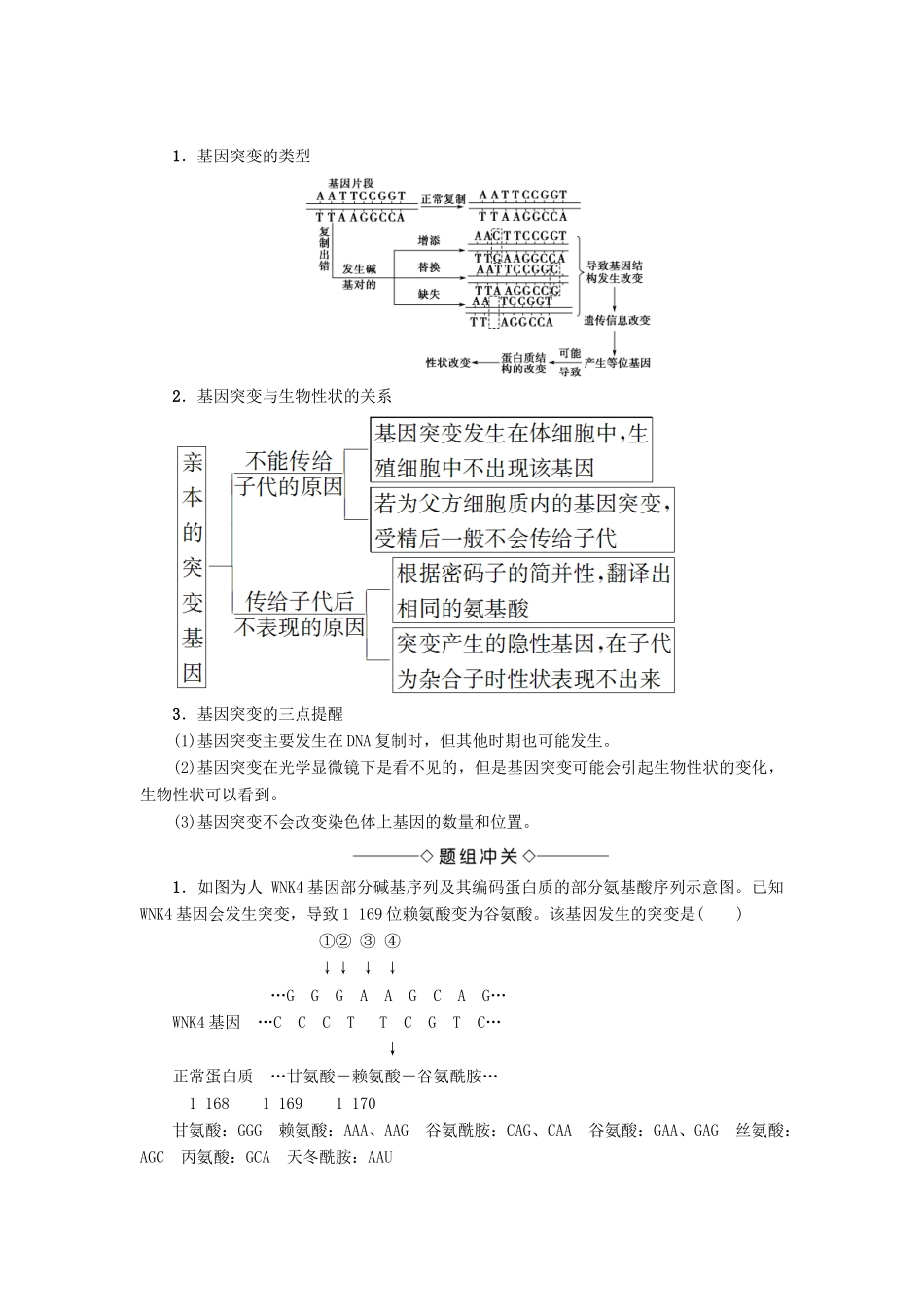 高中生物 第五章 基因突变及其他变异 第1节 基因突变和基因重组学案 新人教版必修2-新人教版高一必修2生物学案_第3页