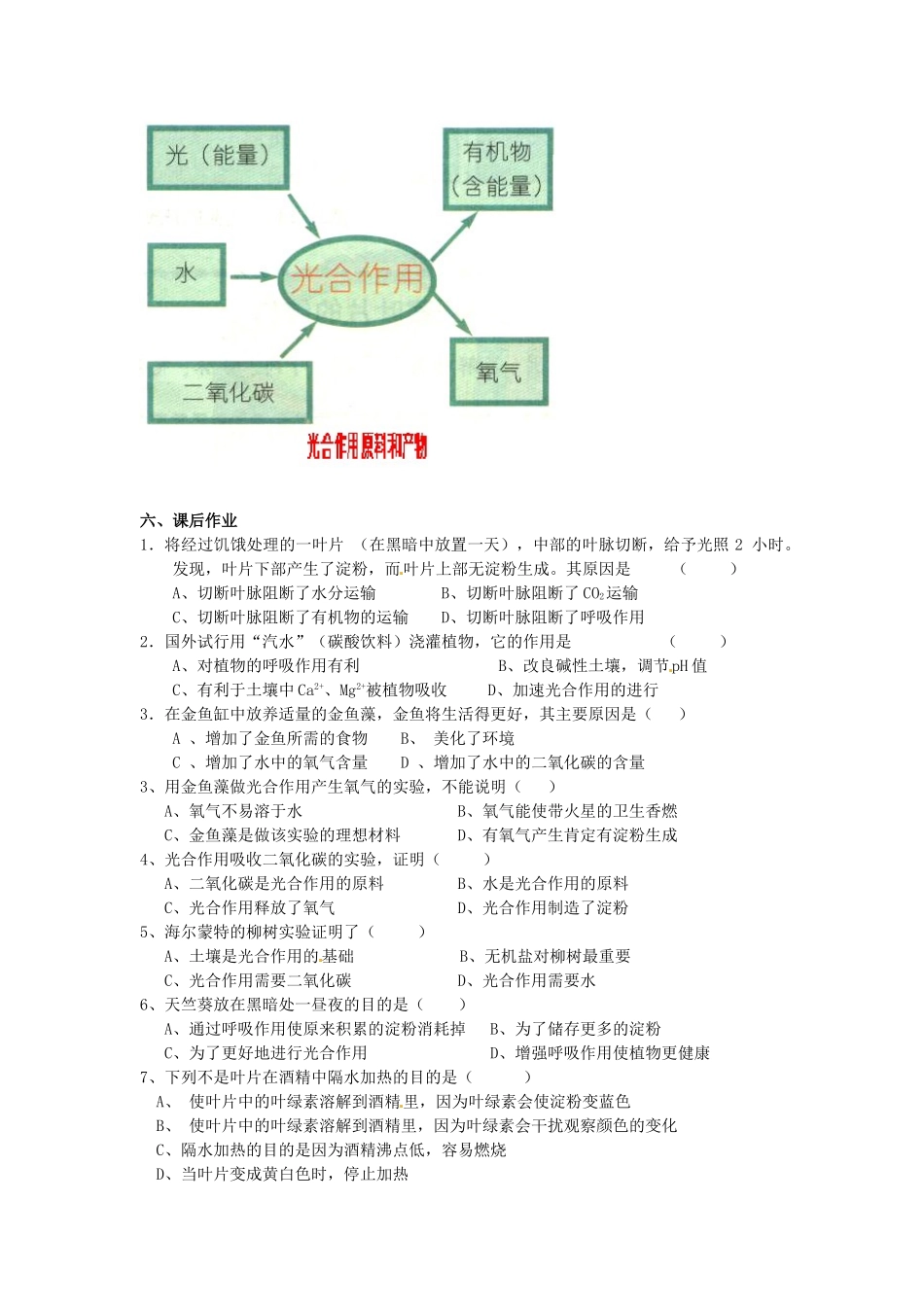 八年级科学上册 6.4植物体内有机物的制造和分解、利用第一课时学案（无答案） 华东师大版_第3页