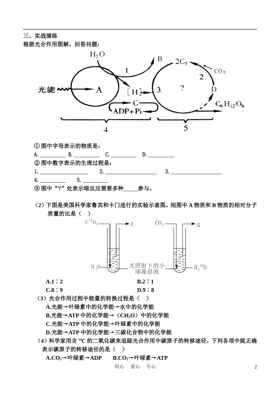 高中生物《光合作用-过程》学案11 苏教版必修1_第2页