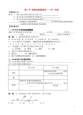 高中生物《细胞的能量通货--ATP》学案1