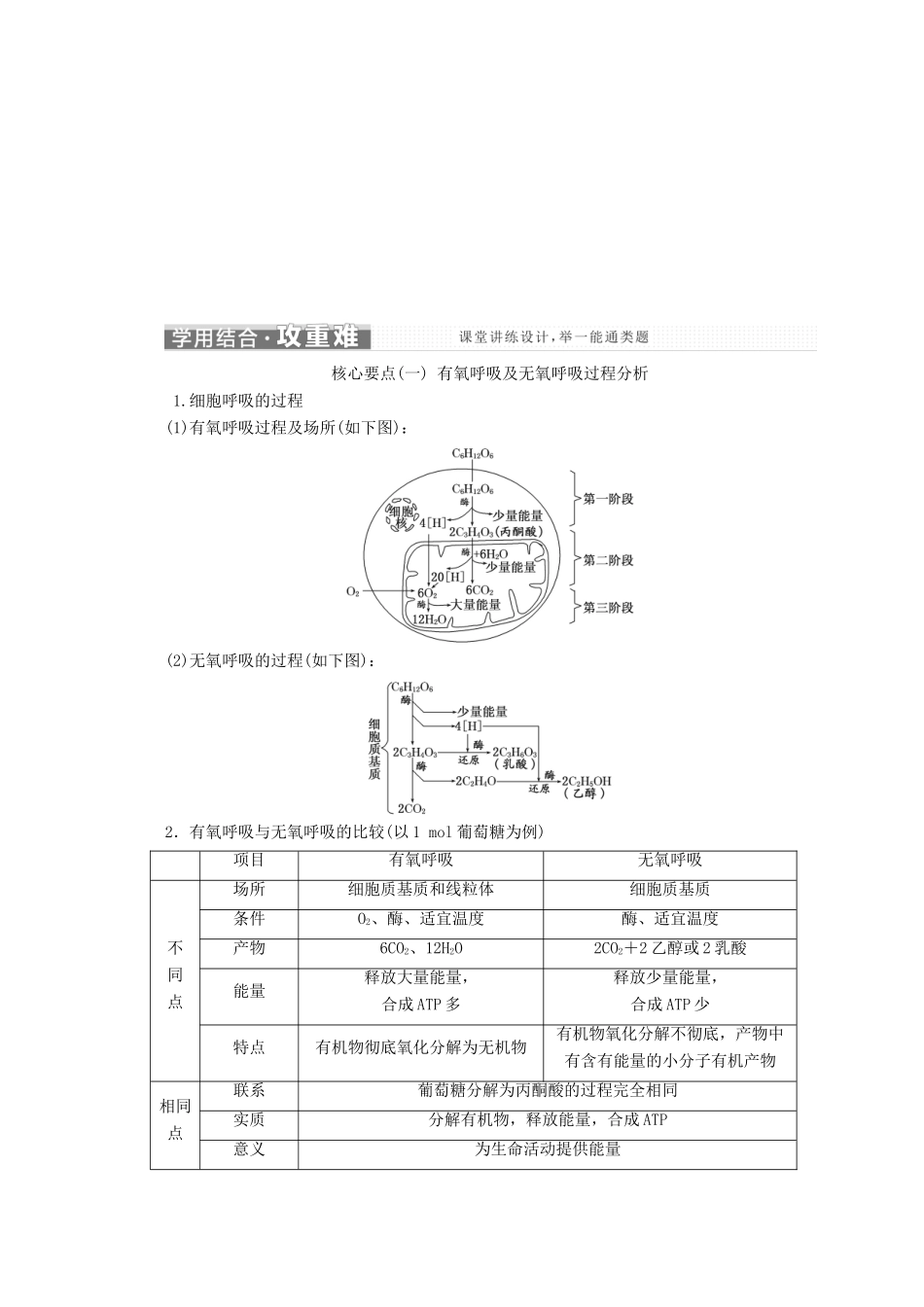 高中生物 第四章 光合作用和细胞呼吸 第三节 细胞呼吸 第1课时 细胞呼吸产生能量及细胞呼吸的过程学案 苏教版必修1-苏教版高一必修1生物学案_第3页