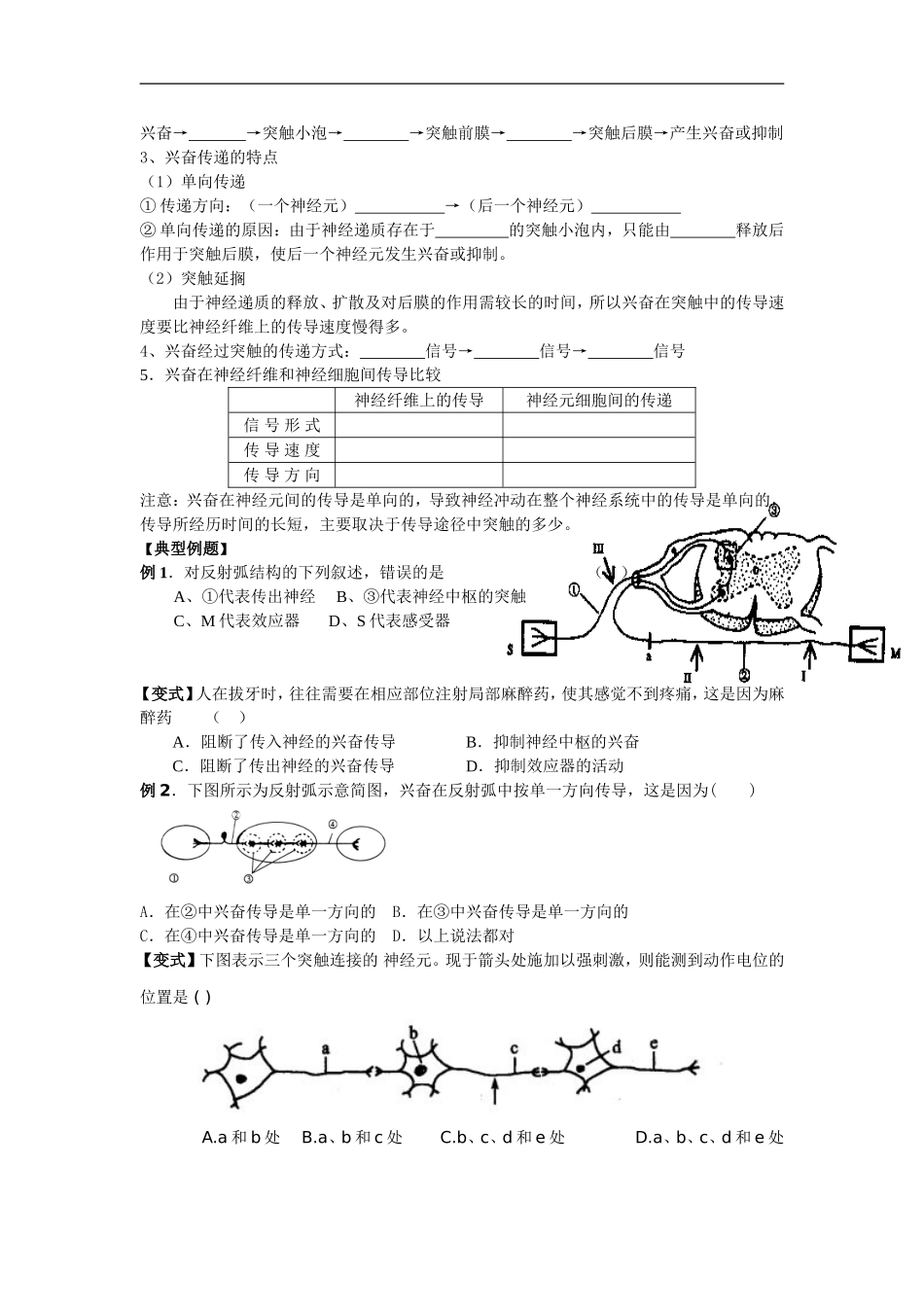 高中生物第2章第1节　通过神经系统的调节一轮复习学案必修三_第2页