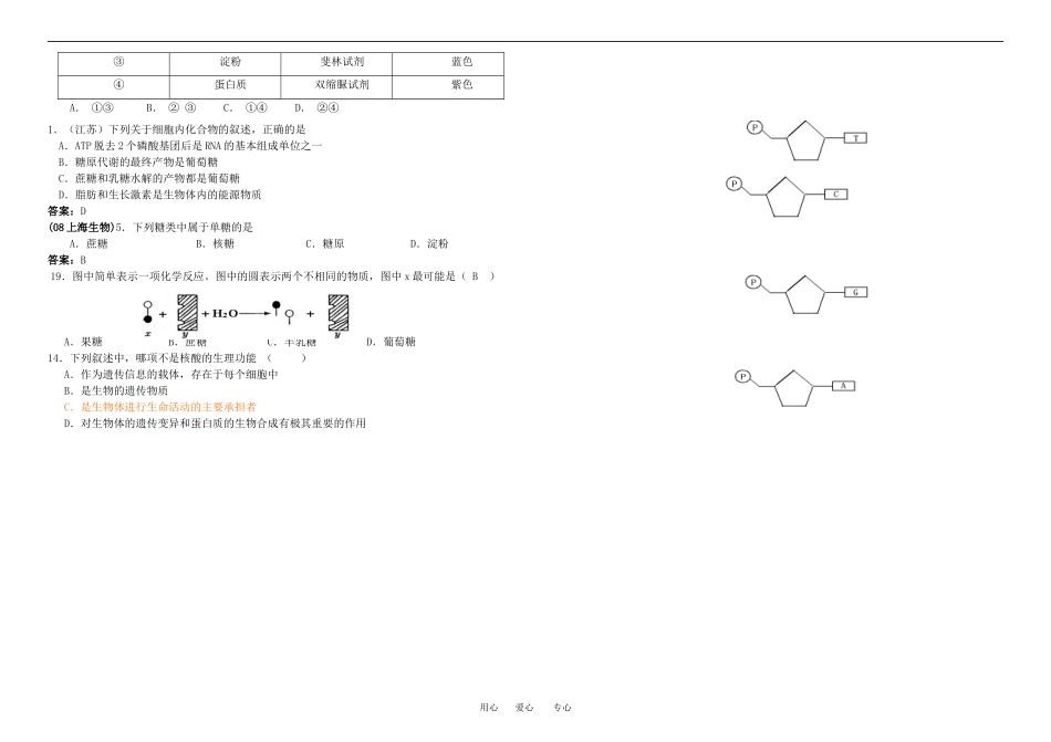 高中生物第二节 细胞中的生物大分子(核酸的结构和功能)导学案苏教版必修1_第3页