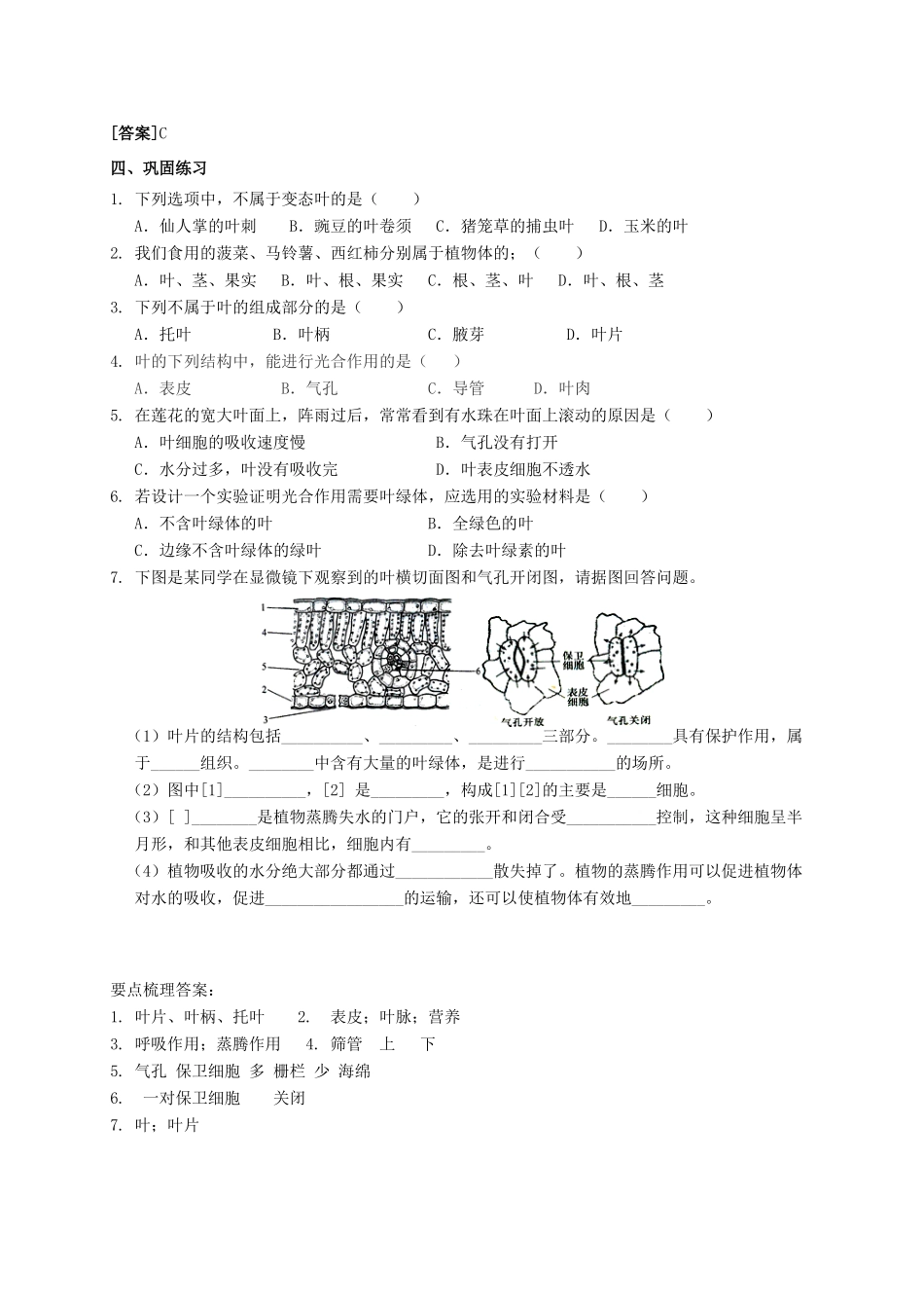 八年级科学上册 4.1 绿色开花植物的营养器官（第3课时）学案 （新版）华东师大版-（新版）华东师大版初中八年级上册自然科学学案_第2页