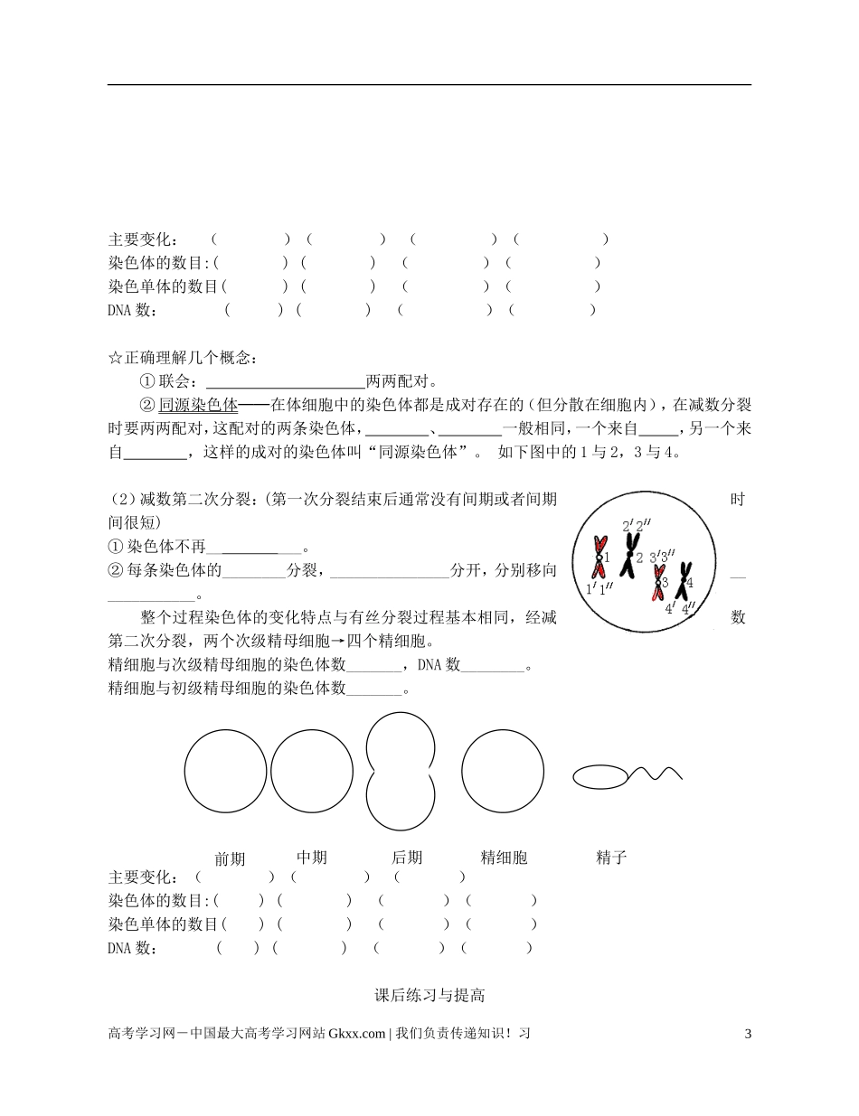 高中生物《减数分裂和受精作用》学案11 新人教版必修2_第3页