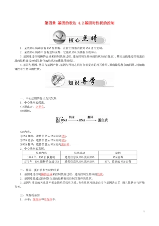 高中生物 第四章 基因的表达 4.2基因对性状的控制学案 新人教版必修2-新人教版高一必修2生物学案