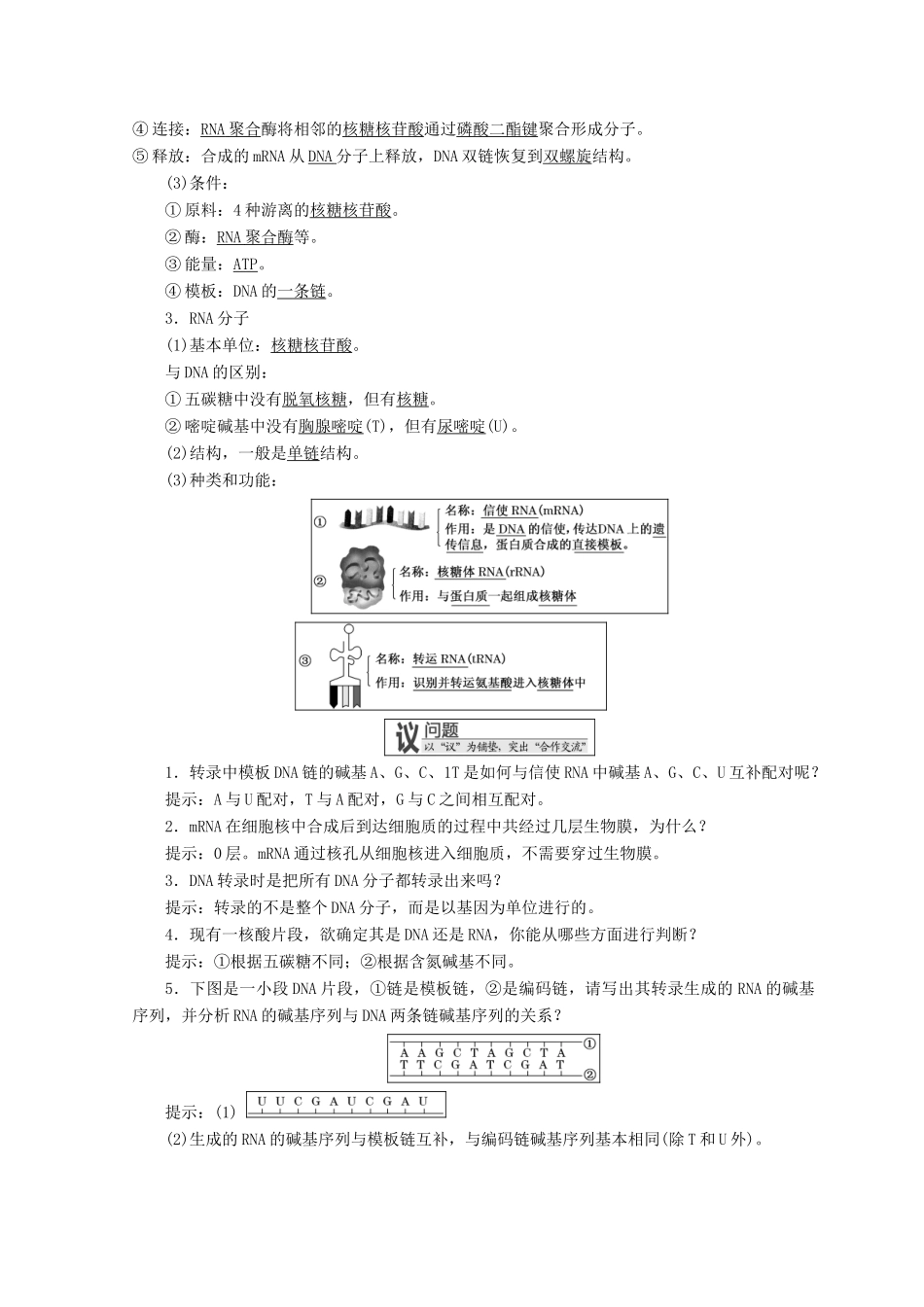 高中生物 第三章 遗传的分子基础 第四节 遗传信息的表达——RNA和蛋白质的合成学案 浙科版必修2-浙科版高一必修2生物学案_第2页