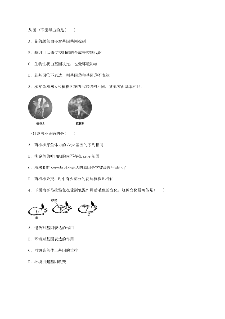 高中生物 第二章 遗传信息的复制与表达 第三节 基因的选择性表达及表观遗传现象学案 北师大版必修2-北师大版高一必修2生物学案_第3页