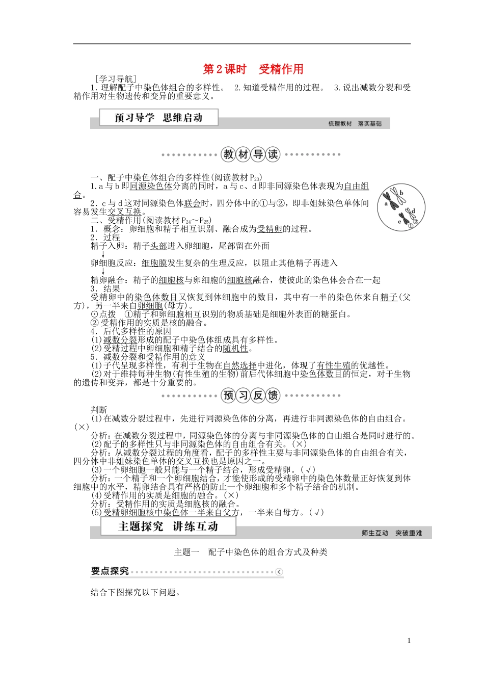 高中生物 第二章 基因和染色体的关系 第1节 减数分裂和受精作用（第2课时）受精作用学案 新人教版必修2-新人教版高一必修2生物学案_第1页