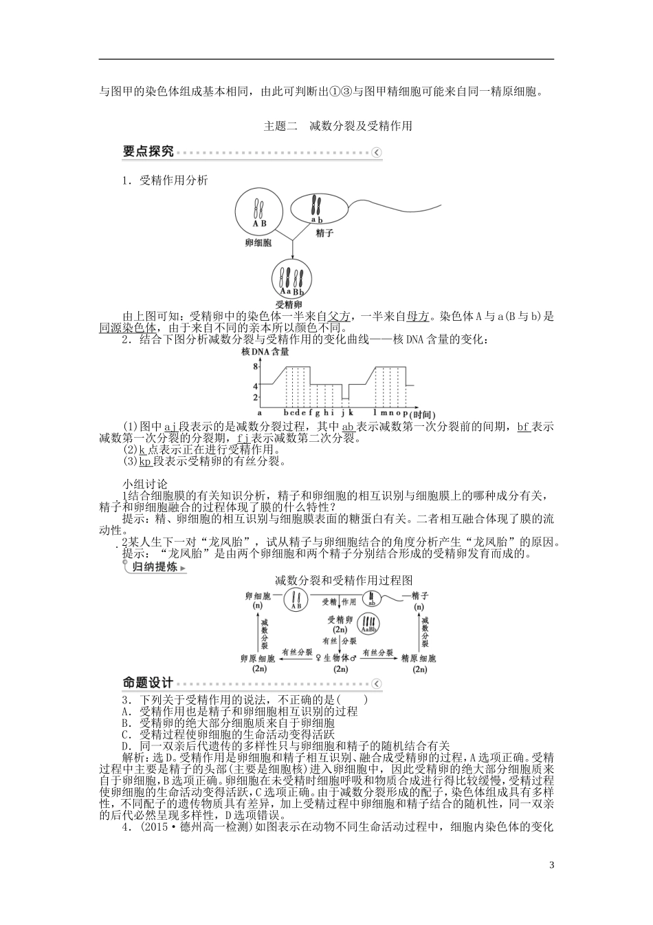 高中生物 第二章 基因和染色体的关系 第1节 减数分裂和受精作用（第2课时）受精作用学案 新人教版必修2-新人教版高一必修2生物学案_第3页