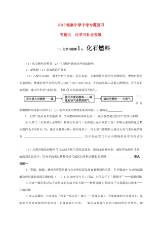 江苏省仪征市谢集中学中考化学专题复习：化学与能源学案 人教新课标版