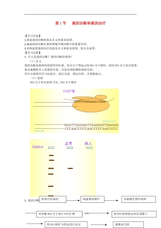 高中生物：1.2 基因诊断与基因治疗 学案新人教版选修2