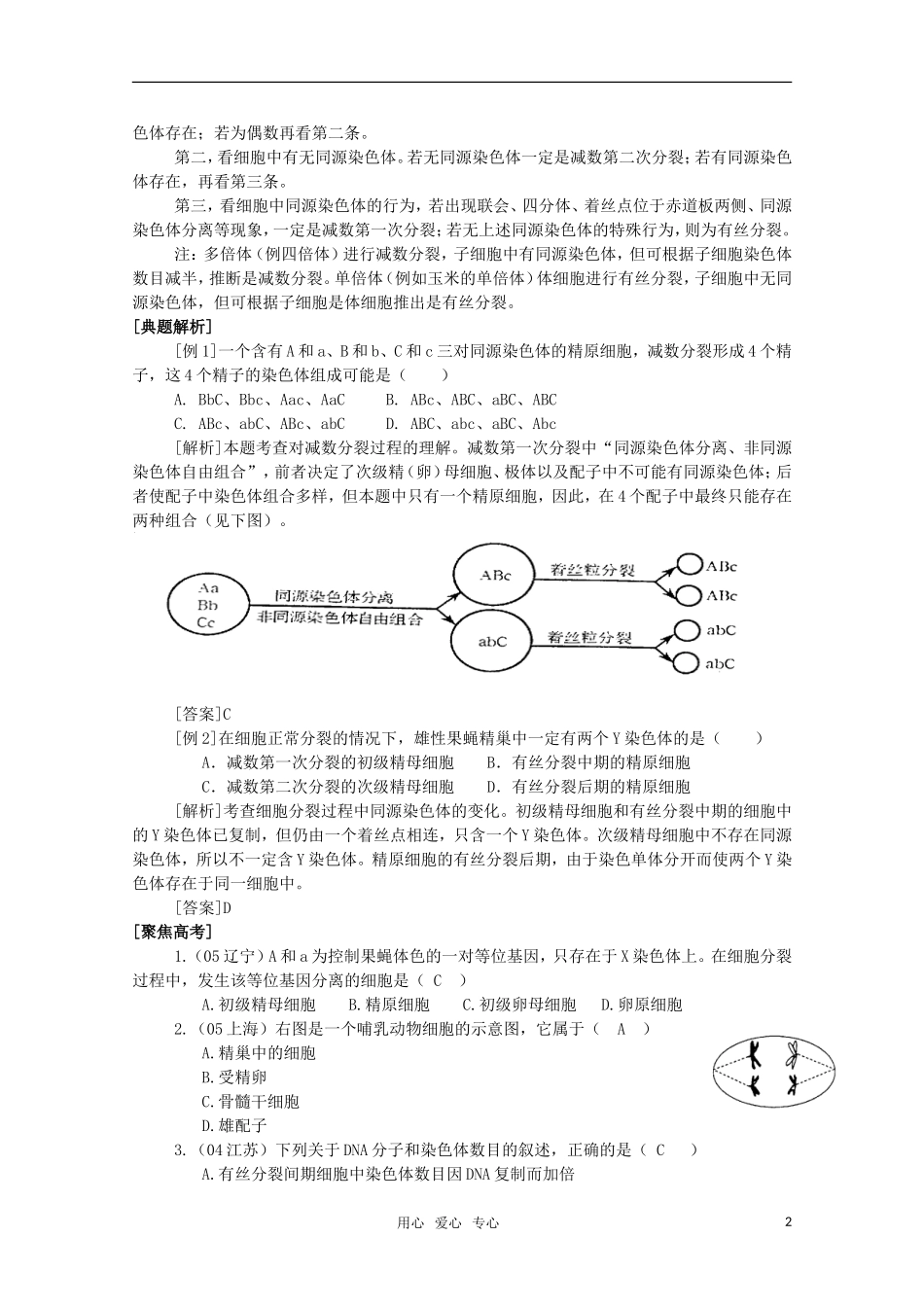 高中生物《减数分裂与配子形成》学案1 中图版必修2_第2页