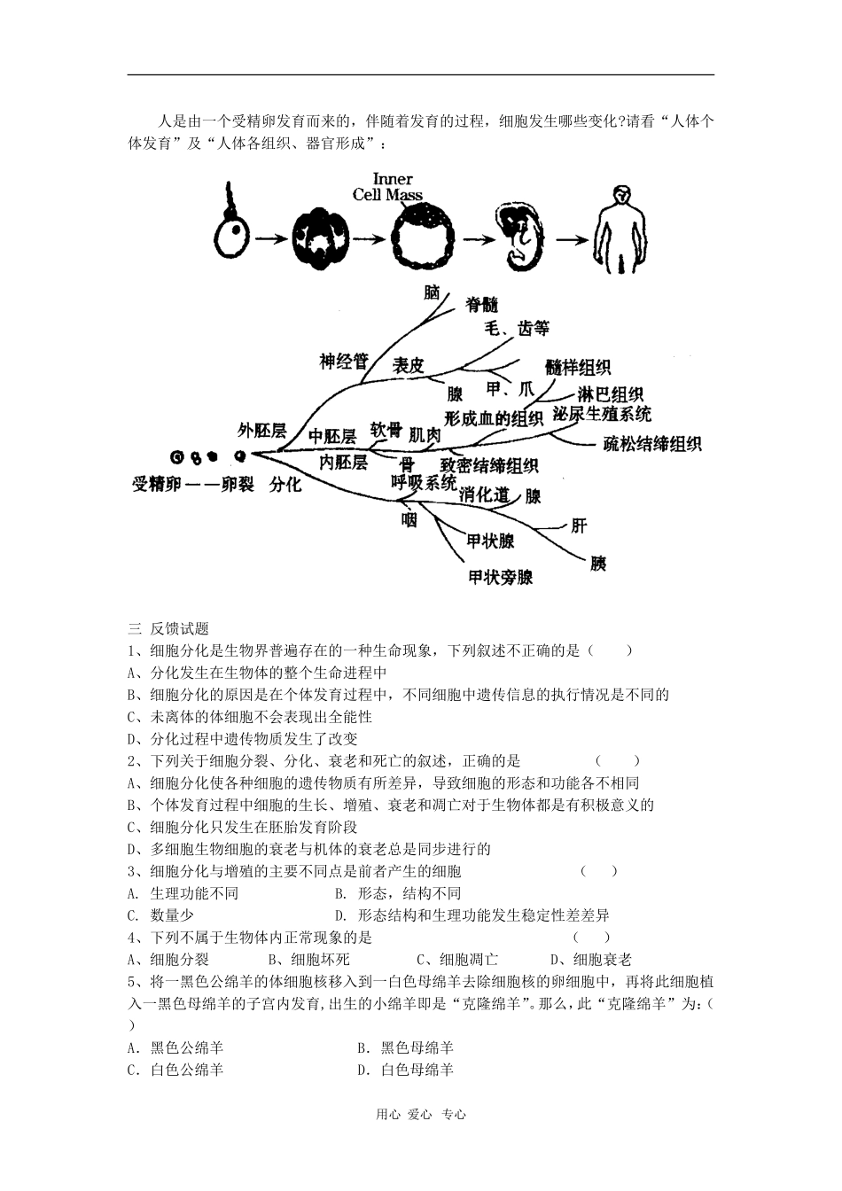 高中生物：4.2《细胞的分化》学案（浙科版必修1）_第2页