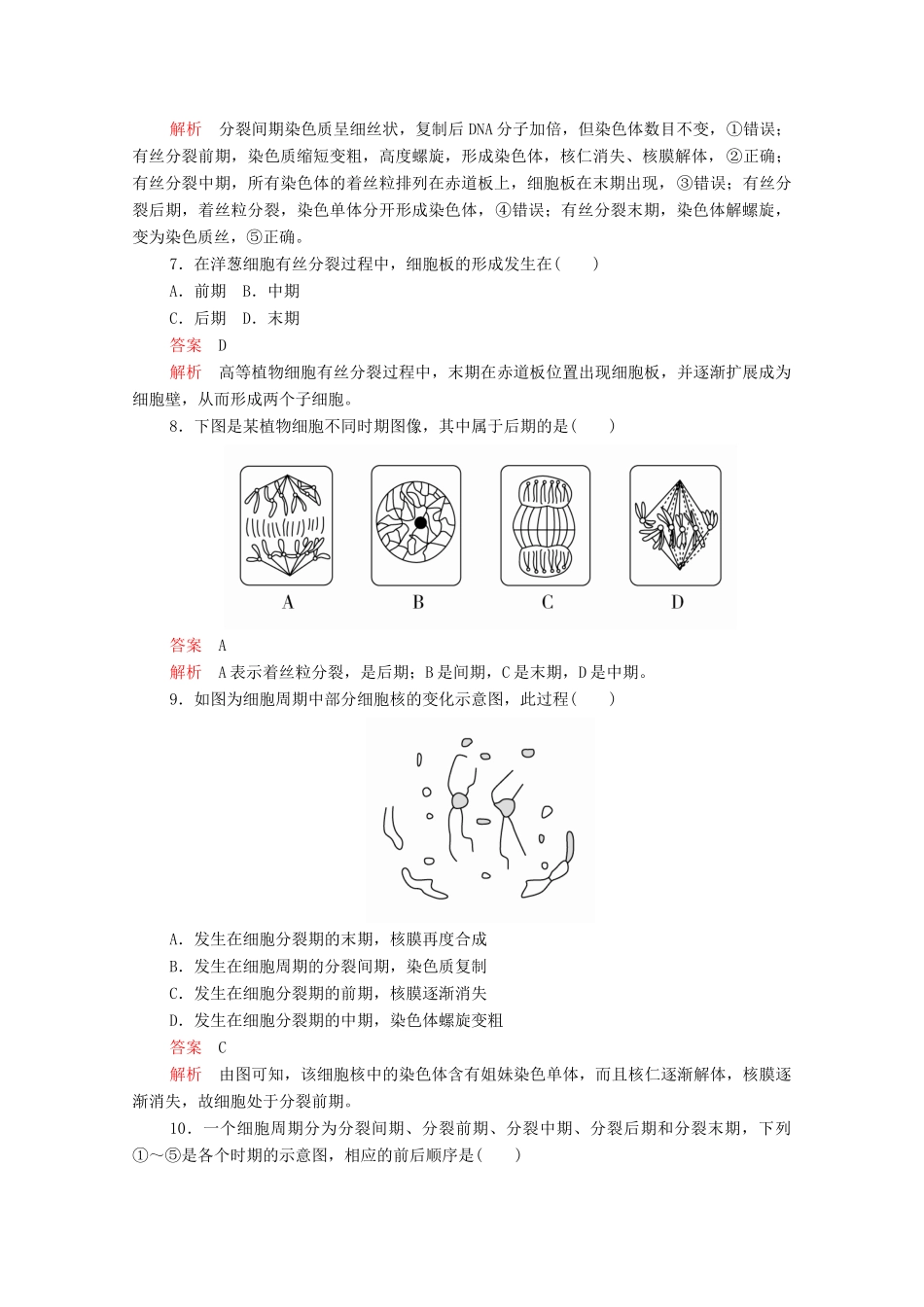 高中生物 第6章 细胞的生命历程 第1节 第一课时 细胞周期及高等植物细胞有丝分裂过学案 新人教版必修1-新人教版高一必修1生物学案_第3页