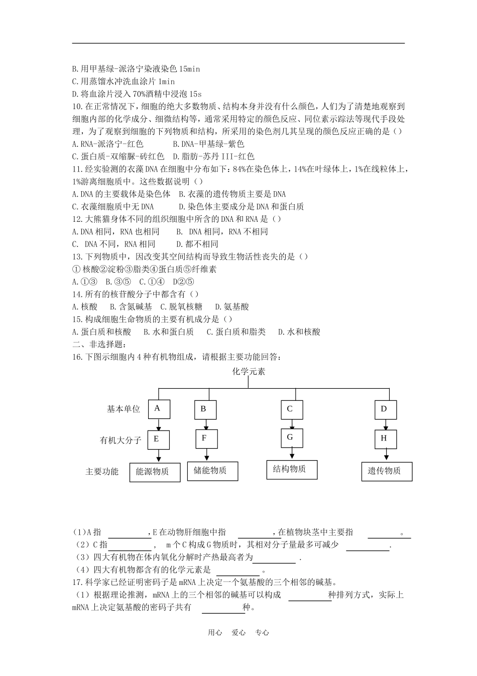 高中生物《核酸的结构和功能》学案6 中图版必修1_第3页