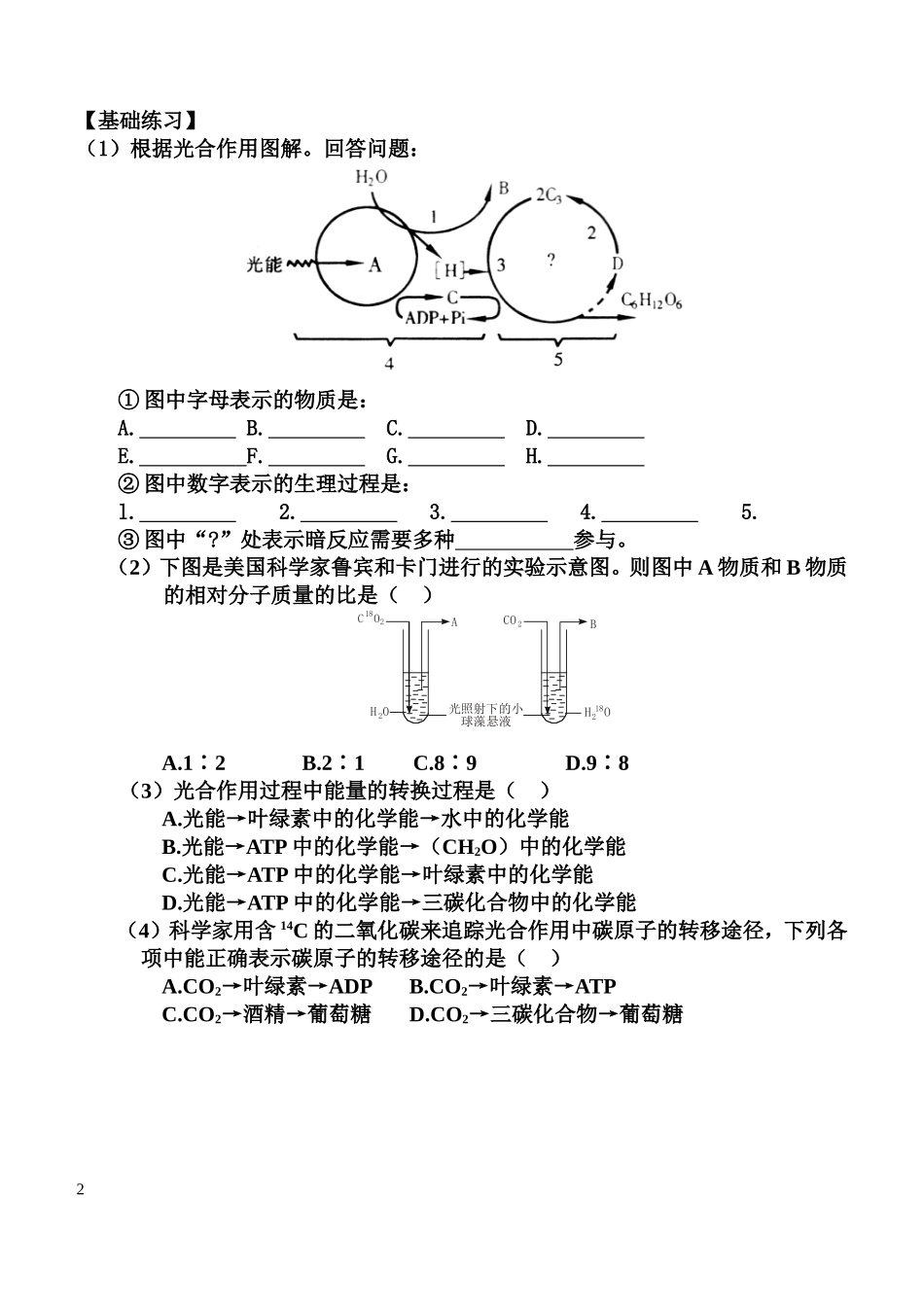 高中生物光合作用的过程学案新课标人教版必修1_第2页