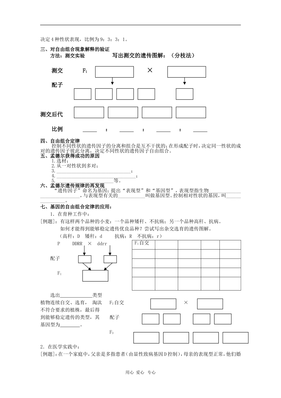 高中生物：1.2《孟德尔的豌豆杂交实验（二）》学案（新人教版必修2）_第2页