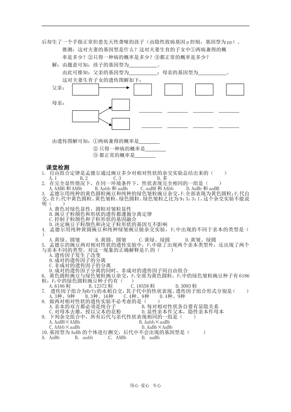 高中生物：1.2《孟德尔的豌豆杂交实验（二）》学案（新人教版必修2）_第3页